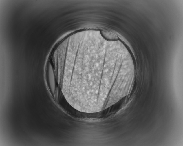 X0000087591045200705251857