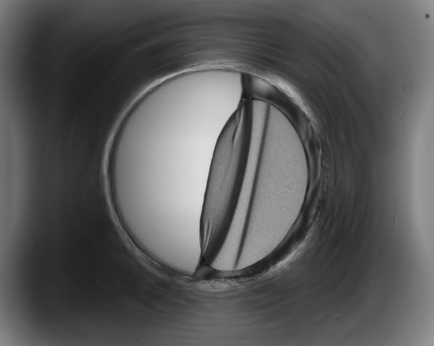 X0000087591046200705251857