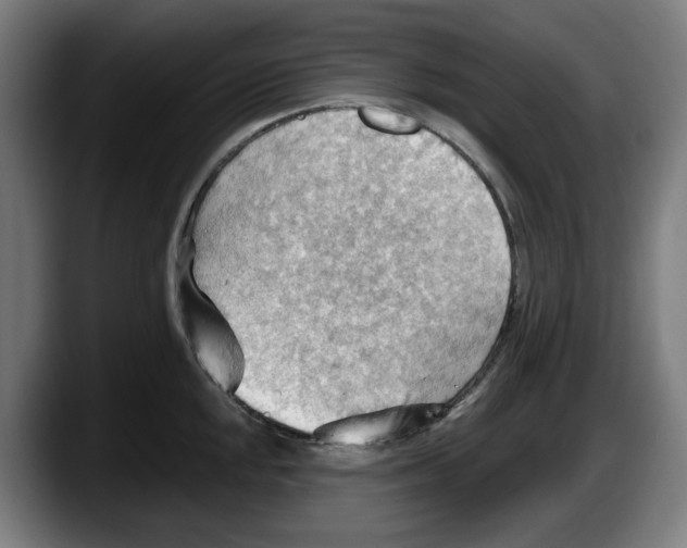 X0000087591048200705251857