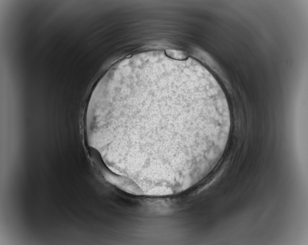 X0000087591049200705251857