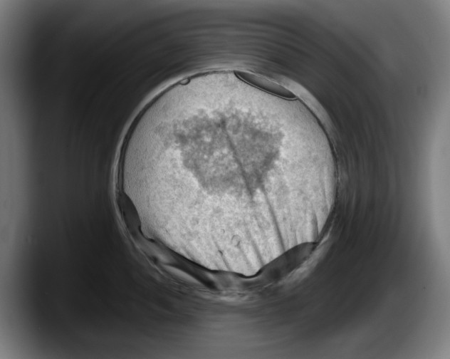 X0000087591052200705251857