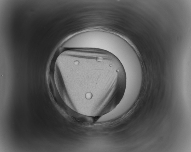 X0000087591054200705251857