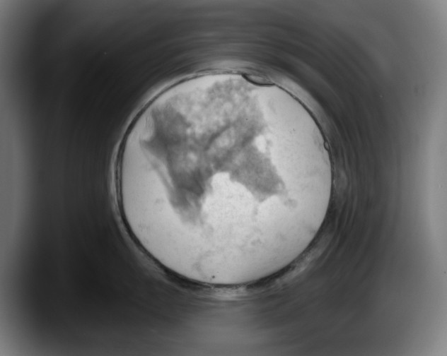 X0000087591055200705251857