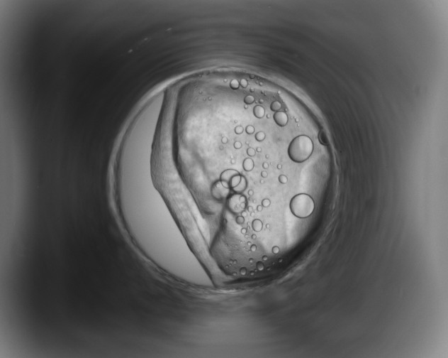 X0000087591056200705251857