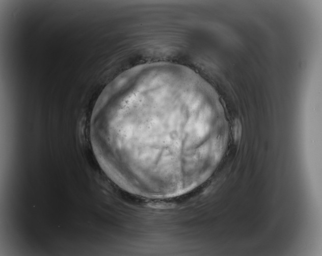 X0000087591059200705251857