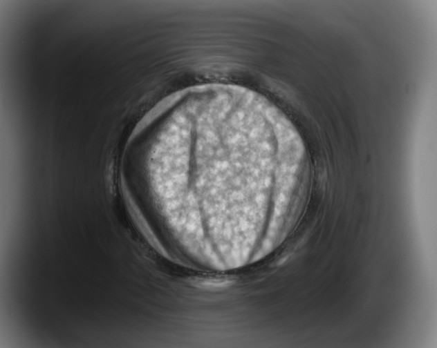 X0000087591060200705251857