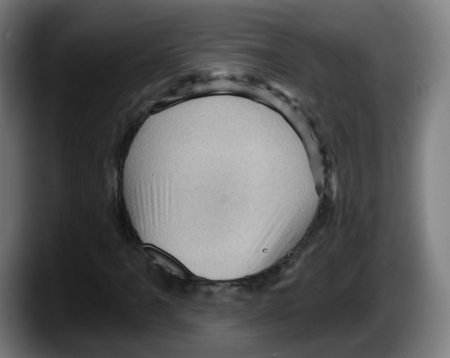 X0000087591061200705251857