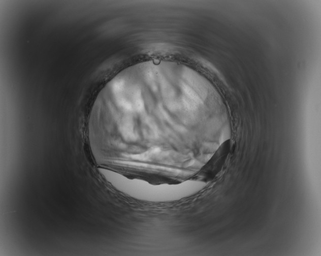 X0000087591063200705251857