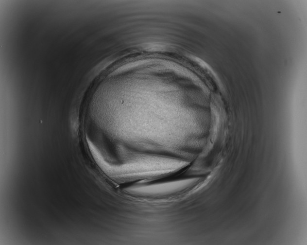 X0000087591065200705251857