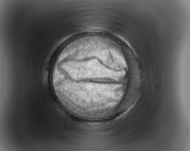 X0000087591066200705251857