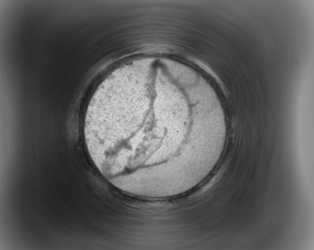 X0000087591067200705251857