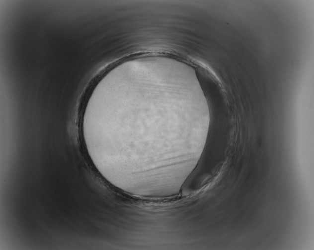 X0000087591071200705251857