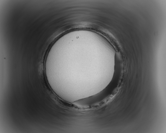 X0000087591073200705251857