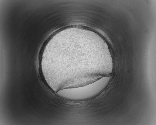 X0000087591076200705251857