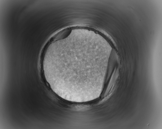 X0000087591077200705251857