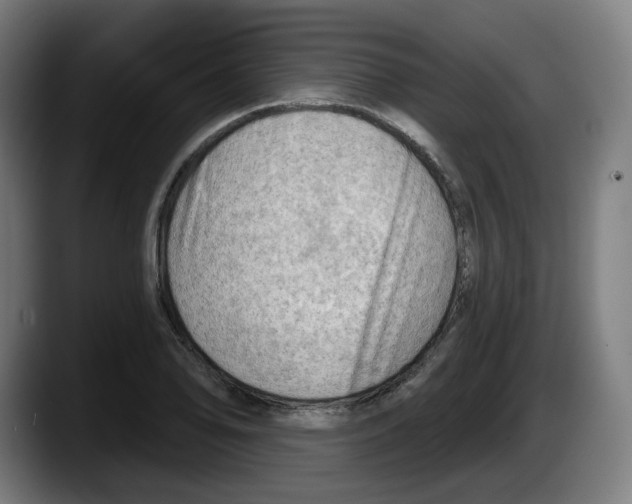 X0000087591078200705251857