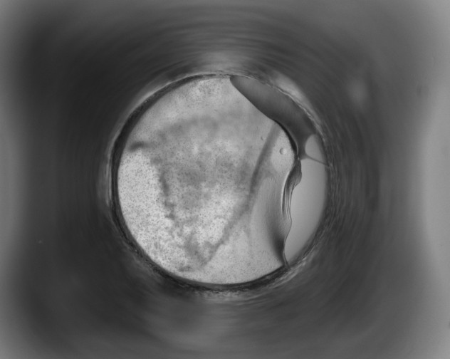 X0000087591079200705251857