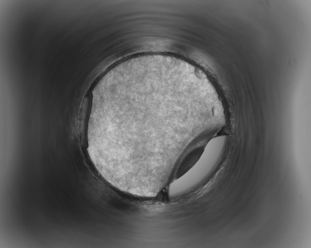 X0000087591081200705251856