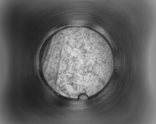 X0000087591083200705251856