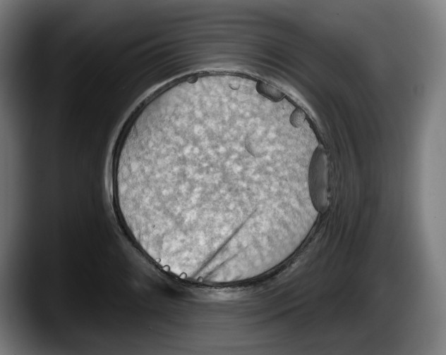 X0000087591084200705251856