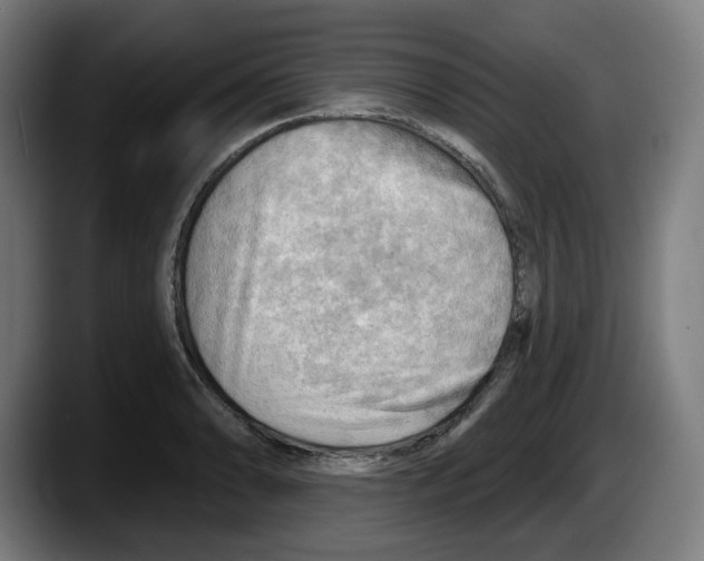 X0000087591086200705251856