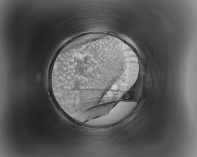 X0000087591087200705251856