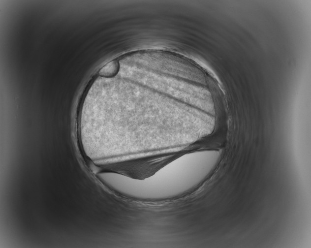 X0000087591088200705251856