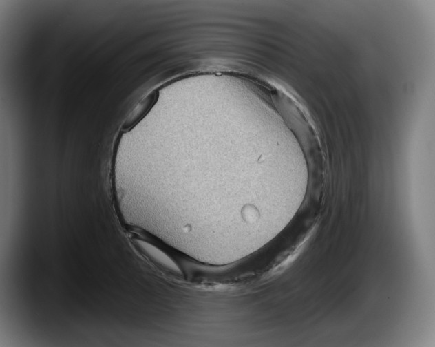 X0000087591089200705251856