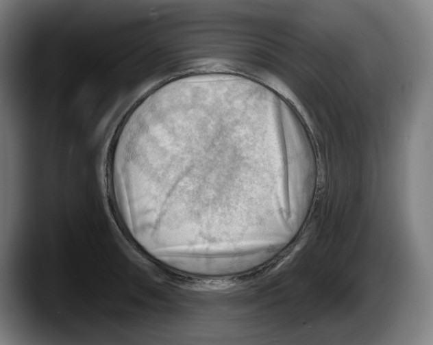 X0000087591090200705251856