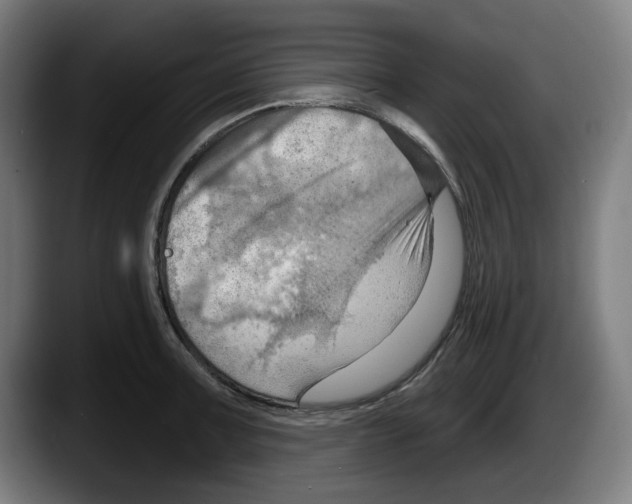 X0000087591091200705251856