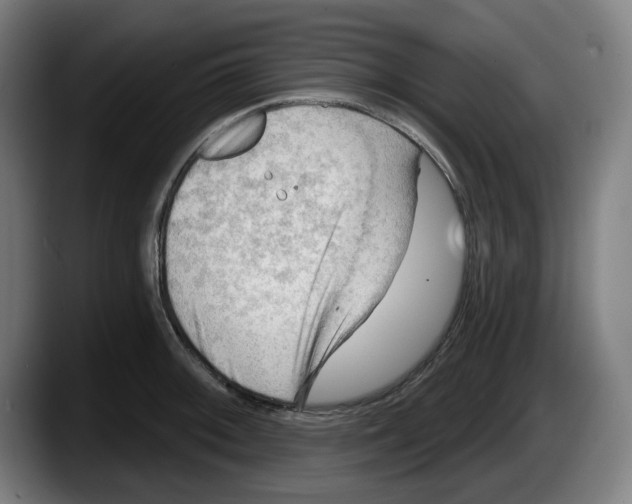 X0000087591092200705251856