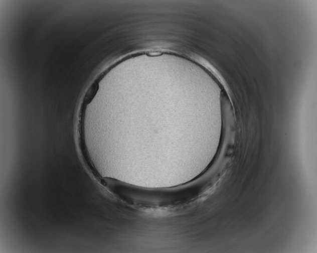 X0000087591093200705251856