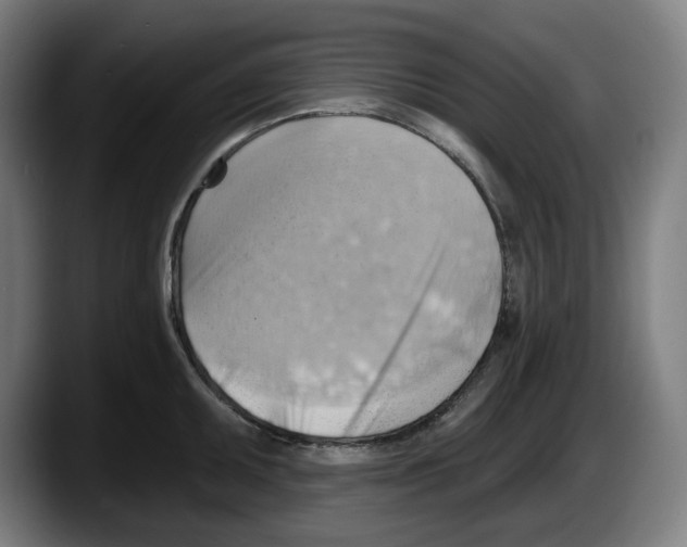 X0000087591095200705251856