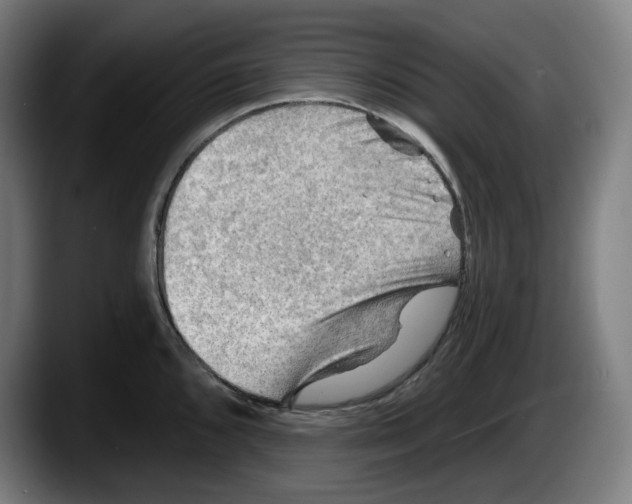 X0000087591096200705251856