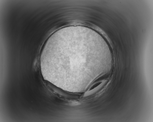 X0000087591097200705251856