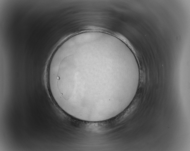 X0000087591098200705251856