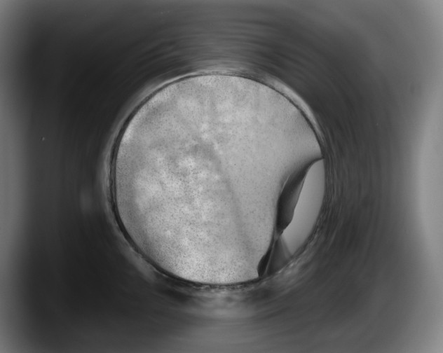 X0000087591099200705251856