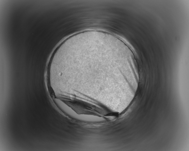 X0000087591100200705251856