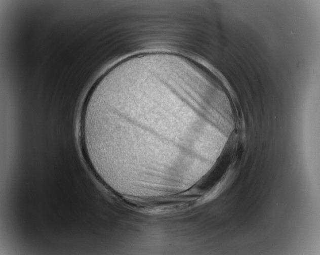 X0000087591101200705251856