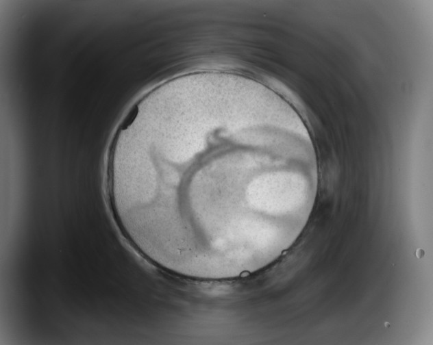 X0000087591103200705251856