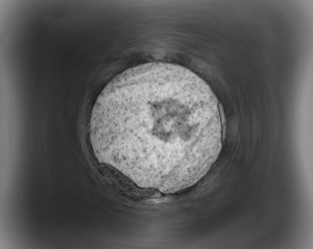 X0000087591105200705251856