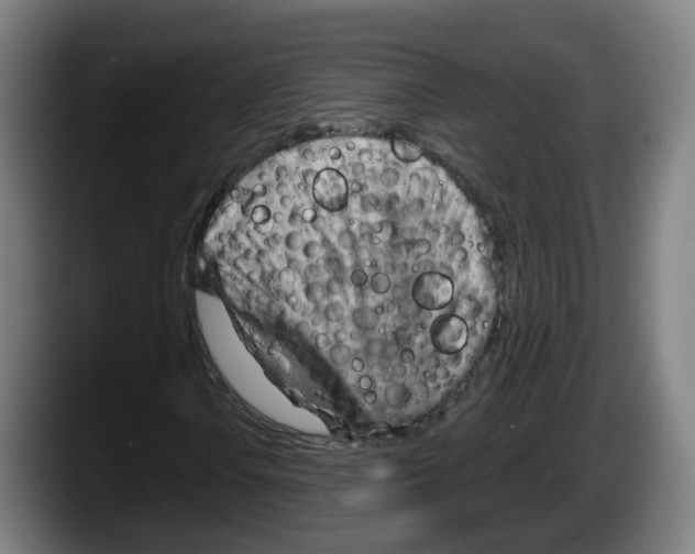 X0000087591106200705251856