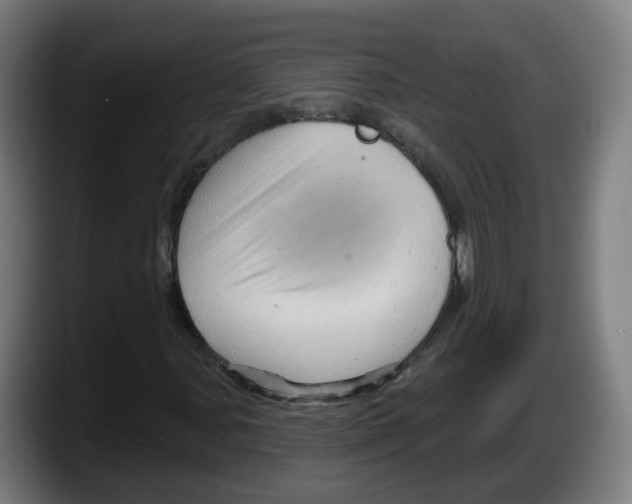 X0000087591107200705251856