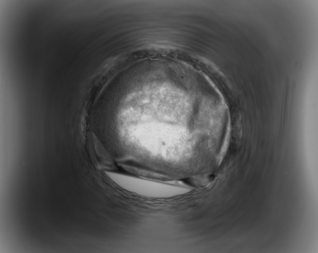 X0000087591110200705251856