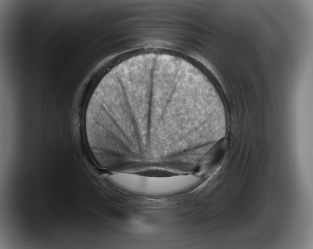 X0000087591115200705251856