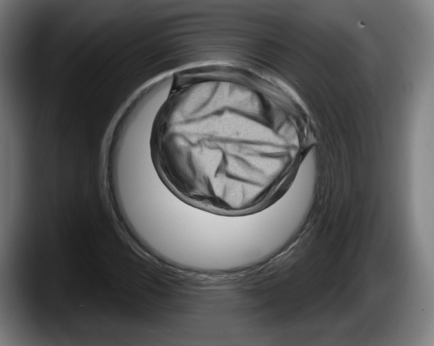 X0000087591116200705251856