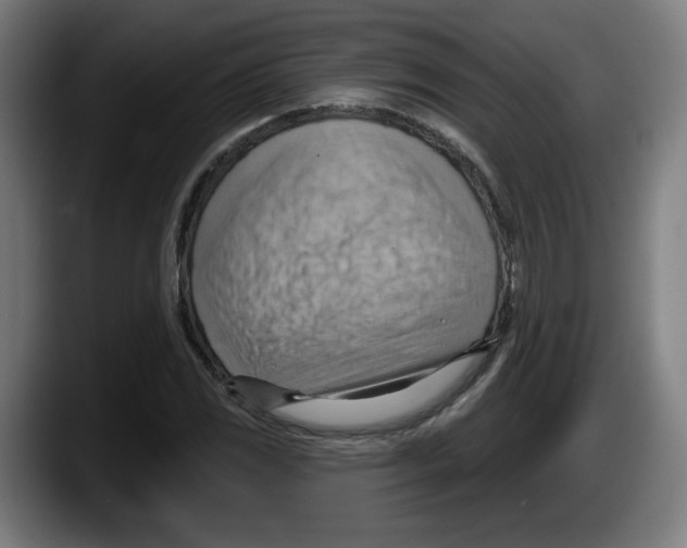 X0000087591117200705251856