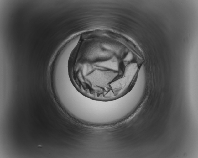 X0000087591118200705251856