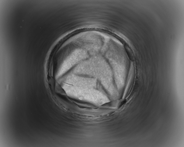 X0000087591120200705251856