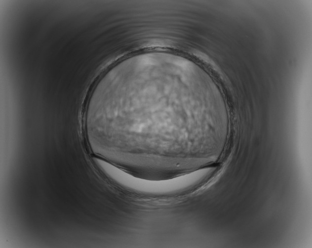 X0000087591121200705251856